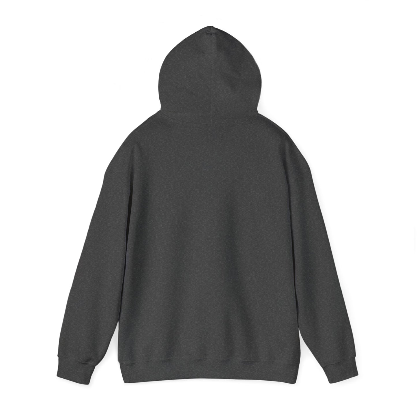 Create Your Own Story Hooded Sweatshirt, Content Creator Hoodie, Gift for Her, Gift for Him