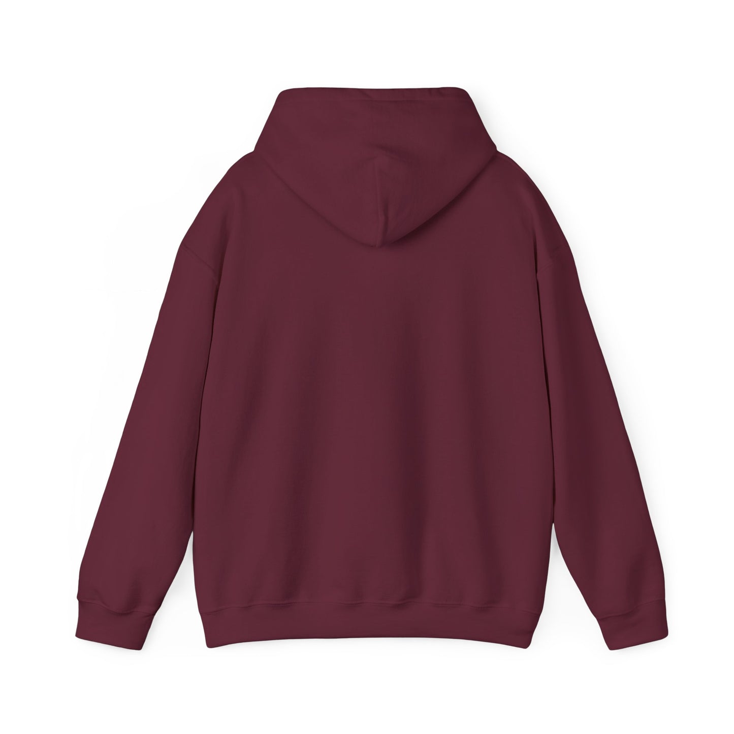 Create Your Own Story Hooded Sweatshirt, Content Creator Hoodie, Gift for Her, Gift for Him